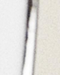 RIMMED BONE CHINA SIDE PLATE product thumbnail 5