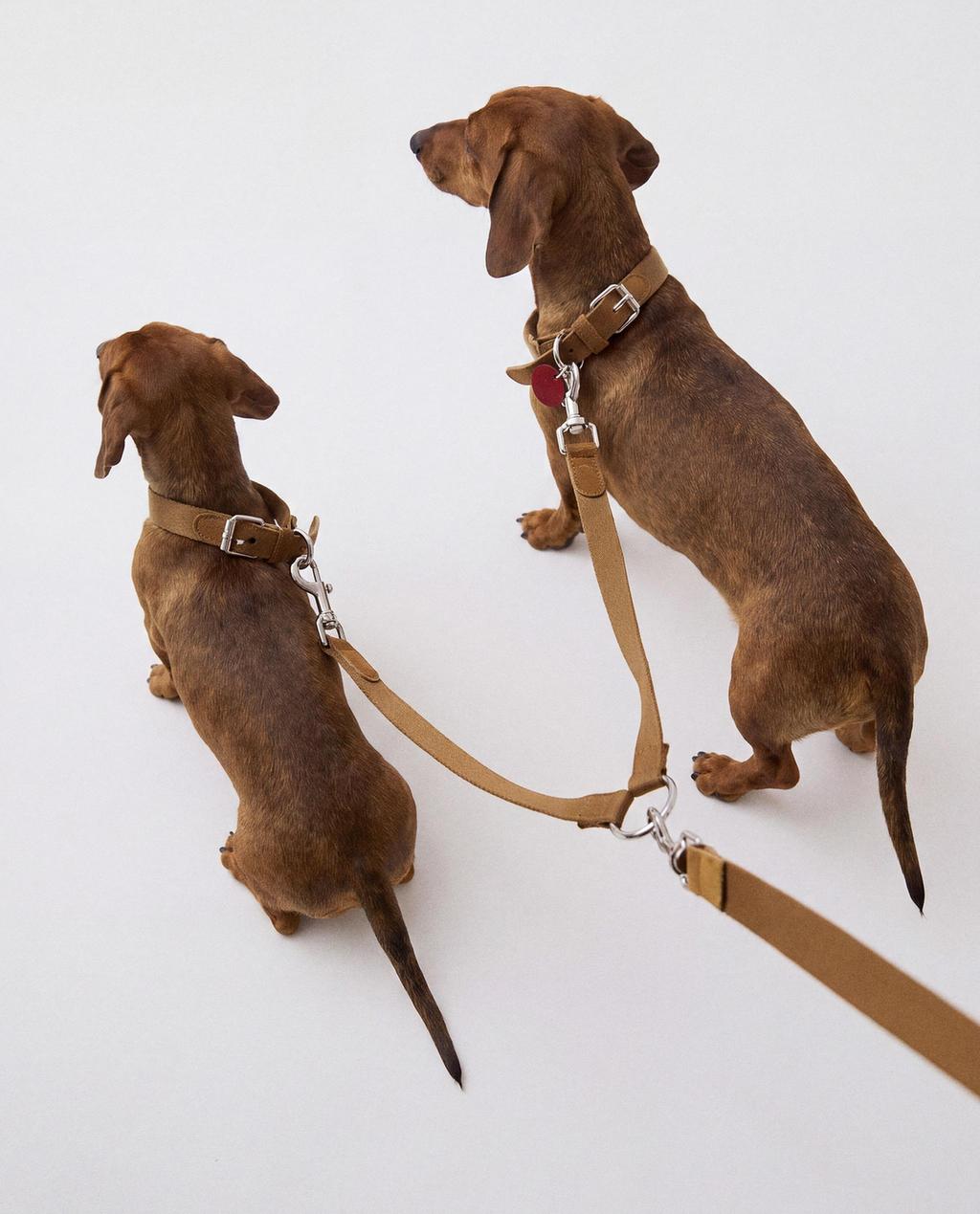 DOUBLE PET LEAD COUPLER ACCESSORY