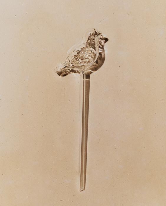 BULLE ARROSAGE OISEAU JARDIN BULLE ARROSAGE OISEAU JARDIN