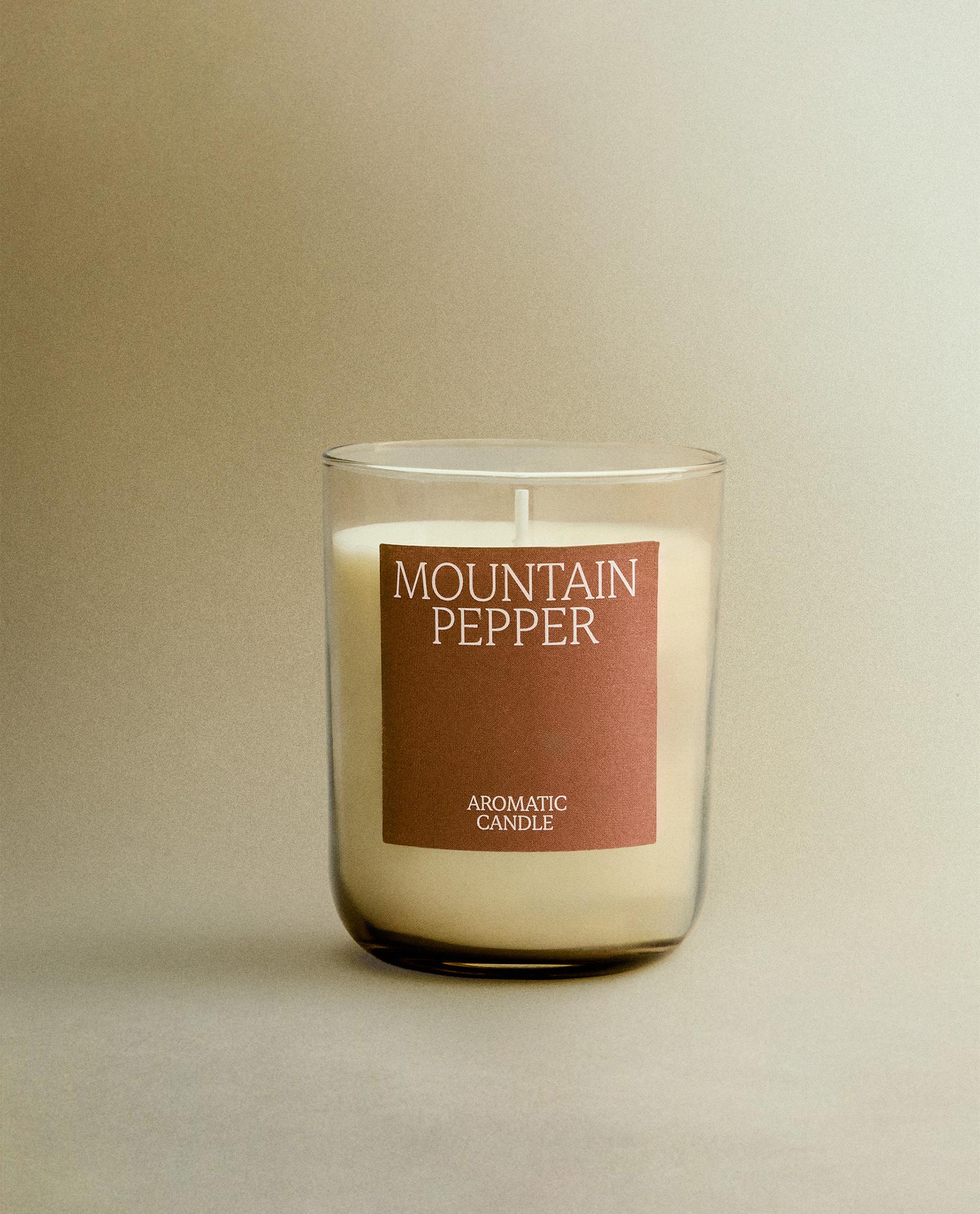 250G）DESERT CEDAR アロマティックキャンドル | Zara Home 日本