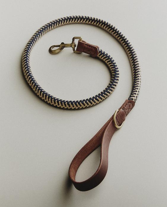 مقود للكلاب بحبل متعدد الألوان مقود للكلاب بحبل متعدد الألوان