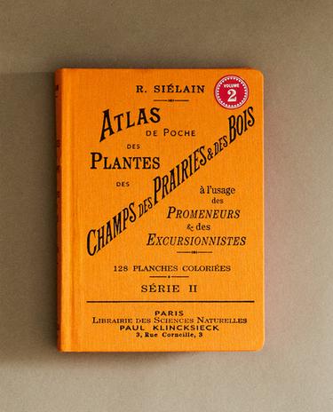 LIBRO ATLAS DE POCHE DES PLANTES CHAMPS, DES PRAIRIES ET DES BOIS SÉR 2.