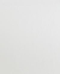 MULBERRY SILK PILLOWCASE product thumbnail 9