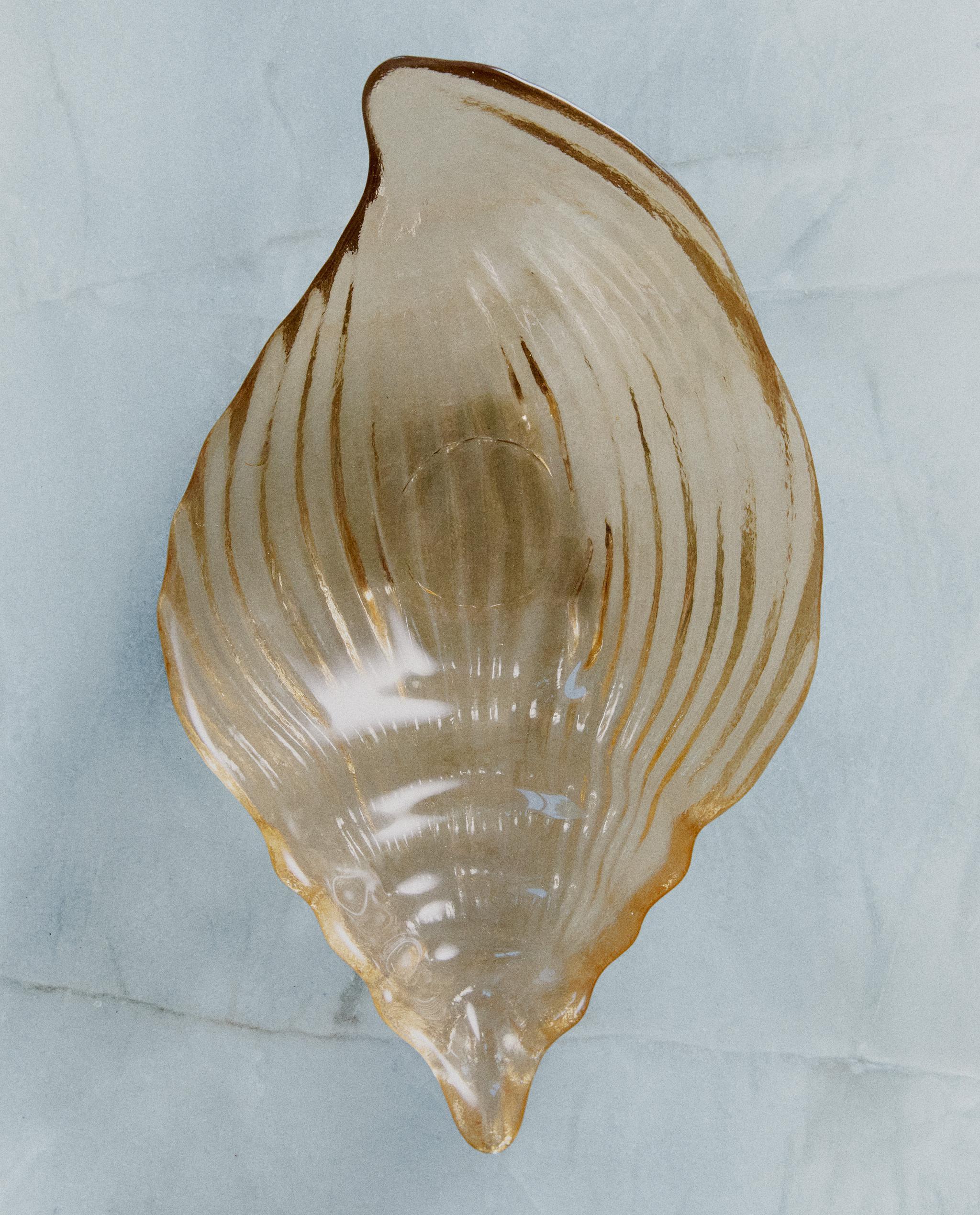 SHELL GLASS SERVING DISH product thumbnail 9