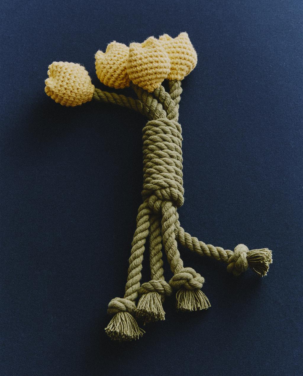 ΠΑΙΧΝΙΔΙ ΓΙΑ ΚΑΤΟΙΚΙΔΙΑ ΜΠΟΥΚΕΤΟ ΤΟΥΛΙΠΕΣ