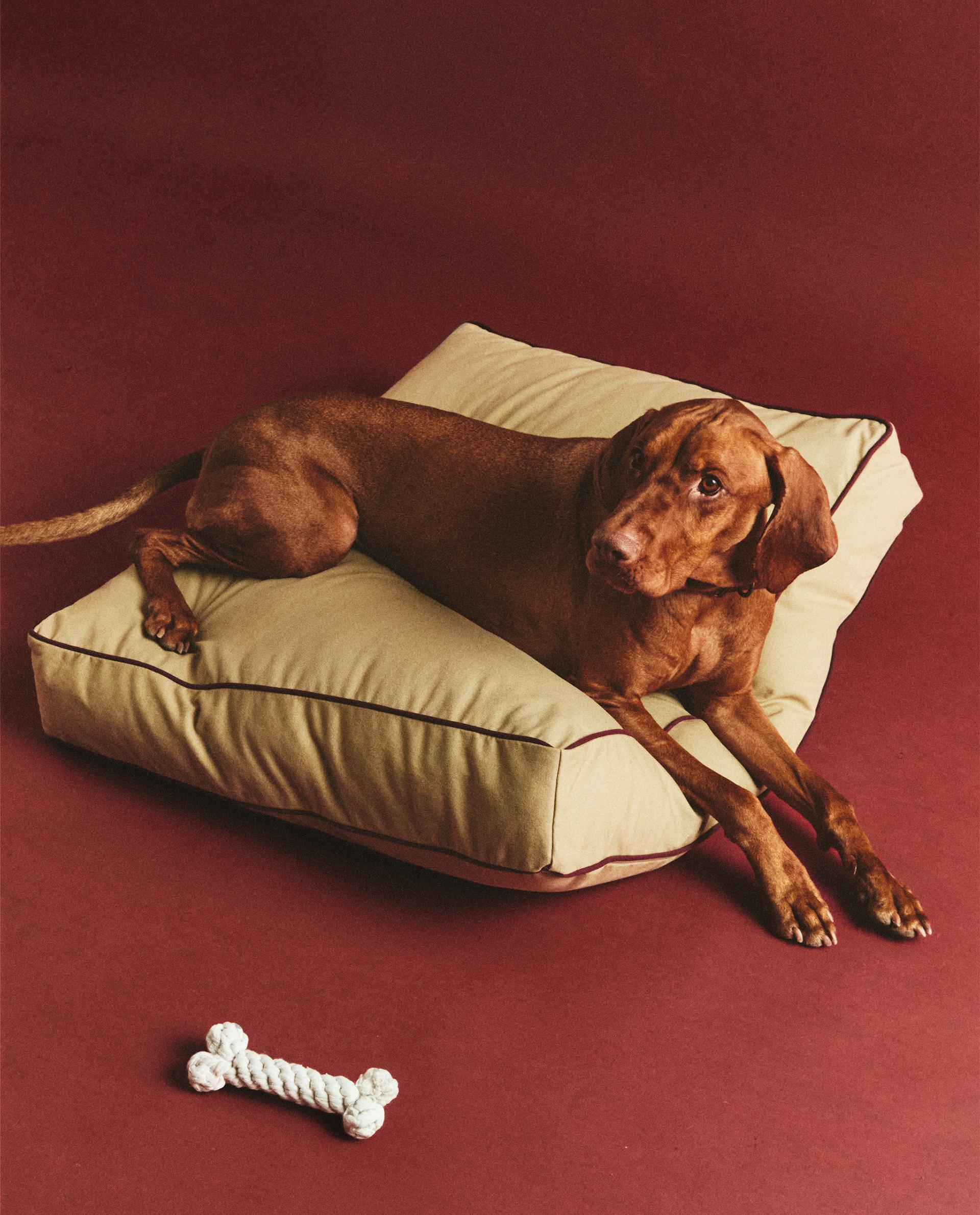 2172 新品　ZARA PET オーバル　クッション　大　グレー 2172 新品 ZARAHOME PET オーバル クッション 大 グレー