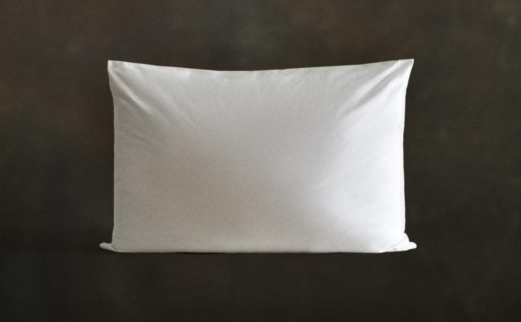 REMBOURRAGE COUSSIN EN PLUMES DUVET XXL REMBOURRAGE COUSSIN EN PLUMES DUVET XXL