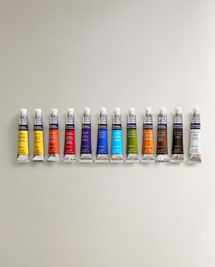 WINSOR & NEWTON WATERCOLOUR SET (SET OF 12)