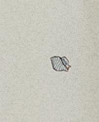 EMBROIDERED SHOWER CURTAIN product thumbnail 4