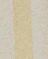 STRIPED SHOWER CURTAIN product thumbnail 13