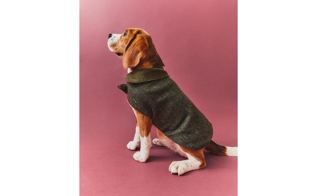 CASACO DE LÃ PARA ANIMAIS DE ESTIMAÇÃO CASACO DE LÃ PARA ANIMAIS DE ESTIMAÇÃO