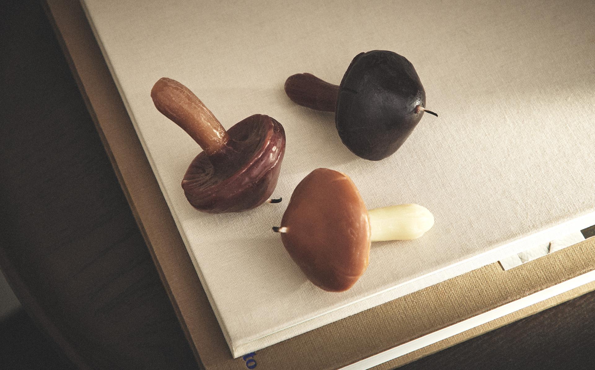 PACK OF PUMPKIN SPICE SCENTED MUSHROOM CANDLES (PACK OF 3)