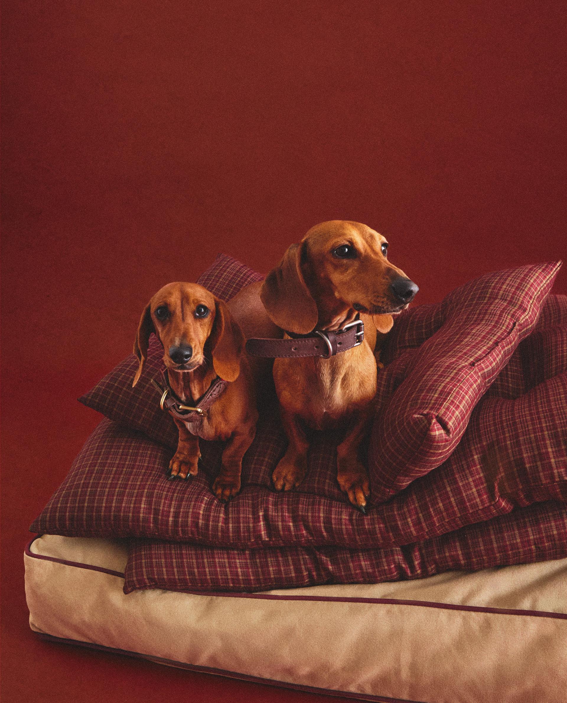 クリスマス チェック柄 ペット用フロアクッション | Zara Home 日本/Japan