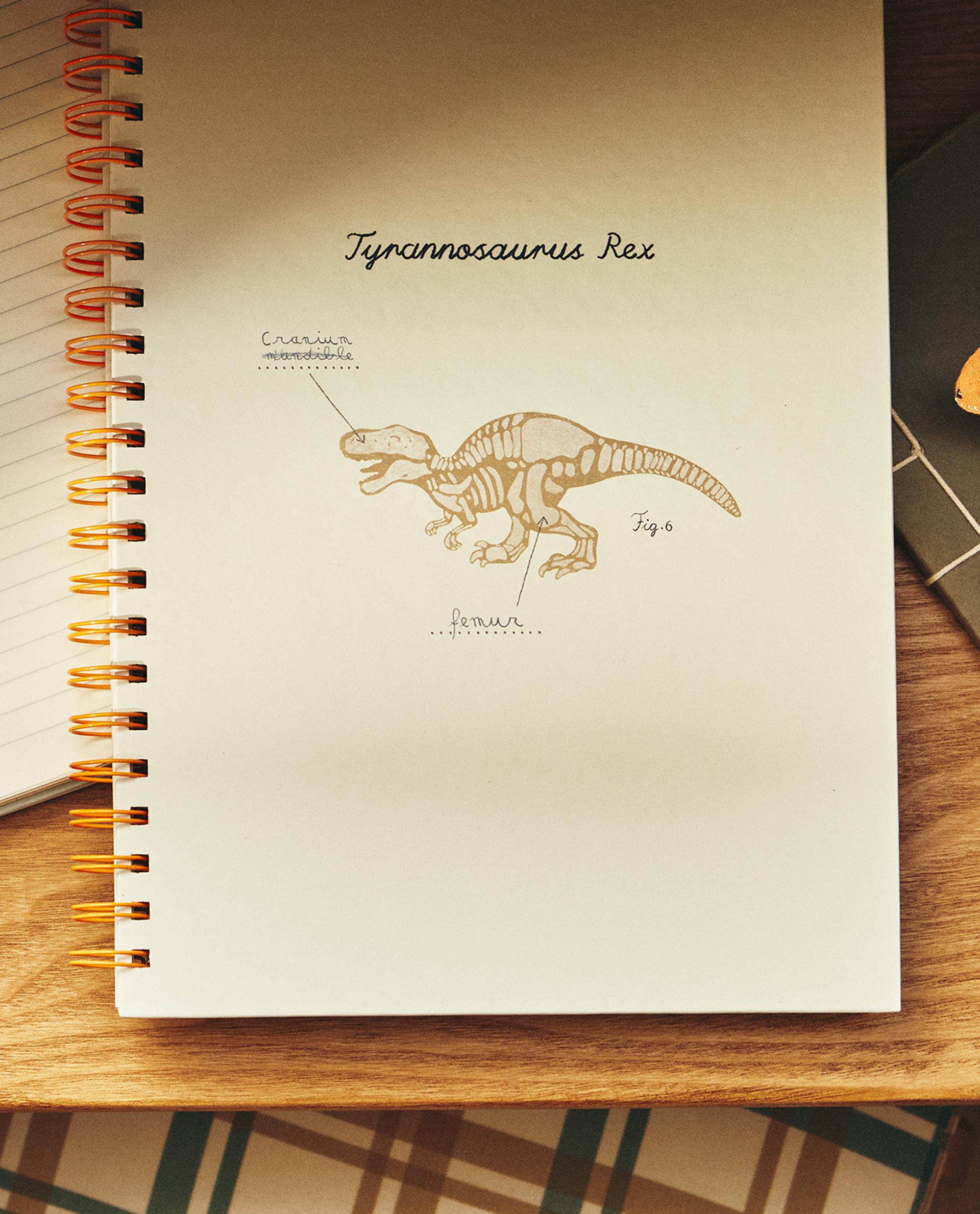 Caderno infantil com dinossauros