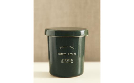 (170 G) MIRISNA SVIJEĆA TOMATO FIELDS
