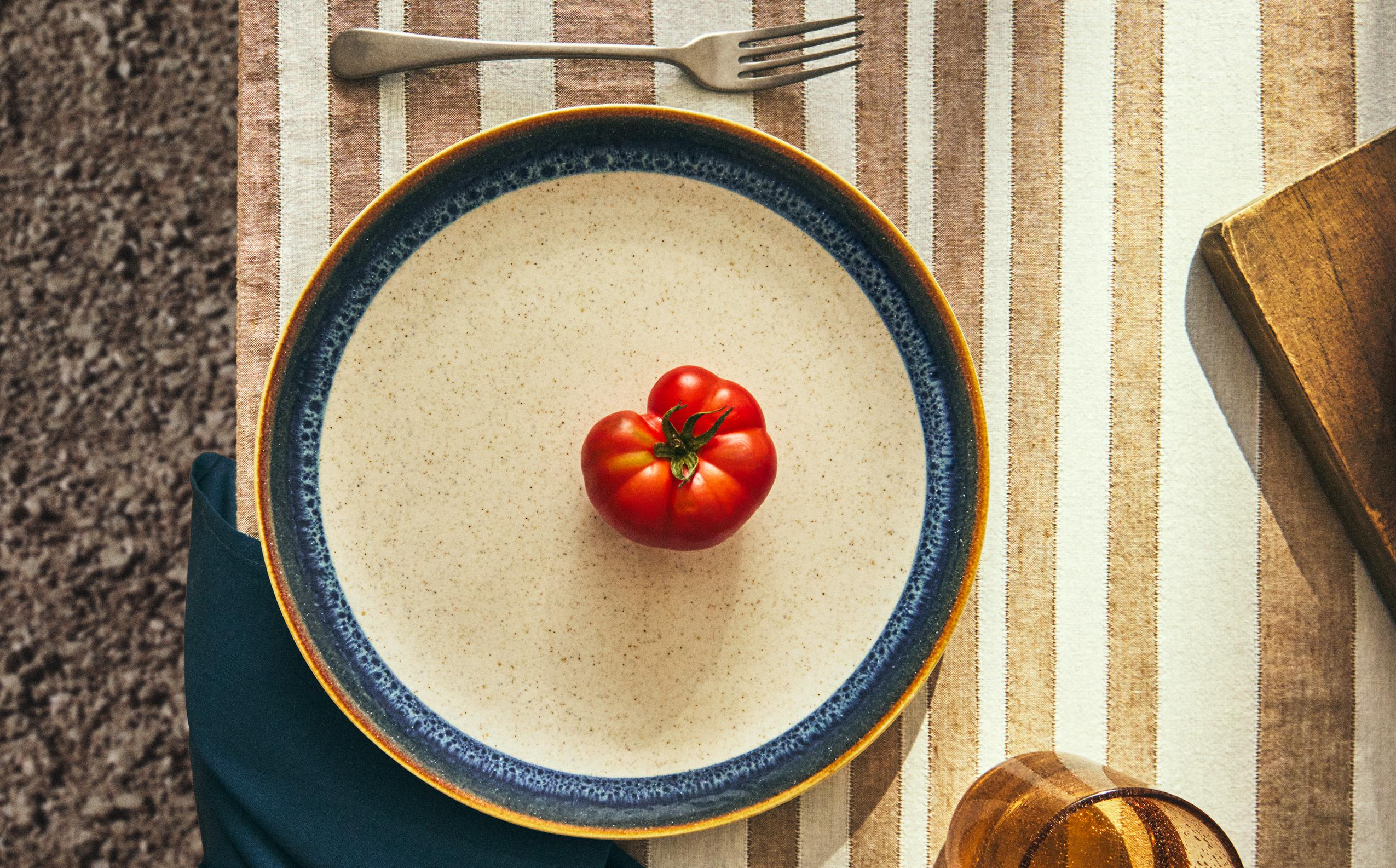 STONEWARE DINNER PLATE