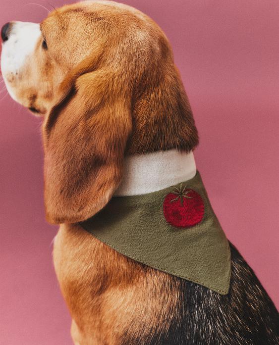 BANDANA MASCOTES TOMÀQUET REVERSIBLE