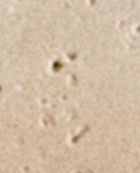 TRAVERTINE PHOTO FRAME product thumbnail 4