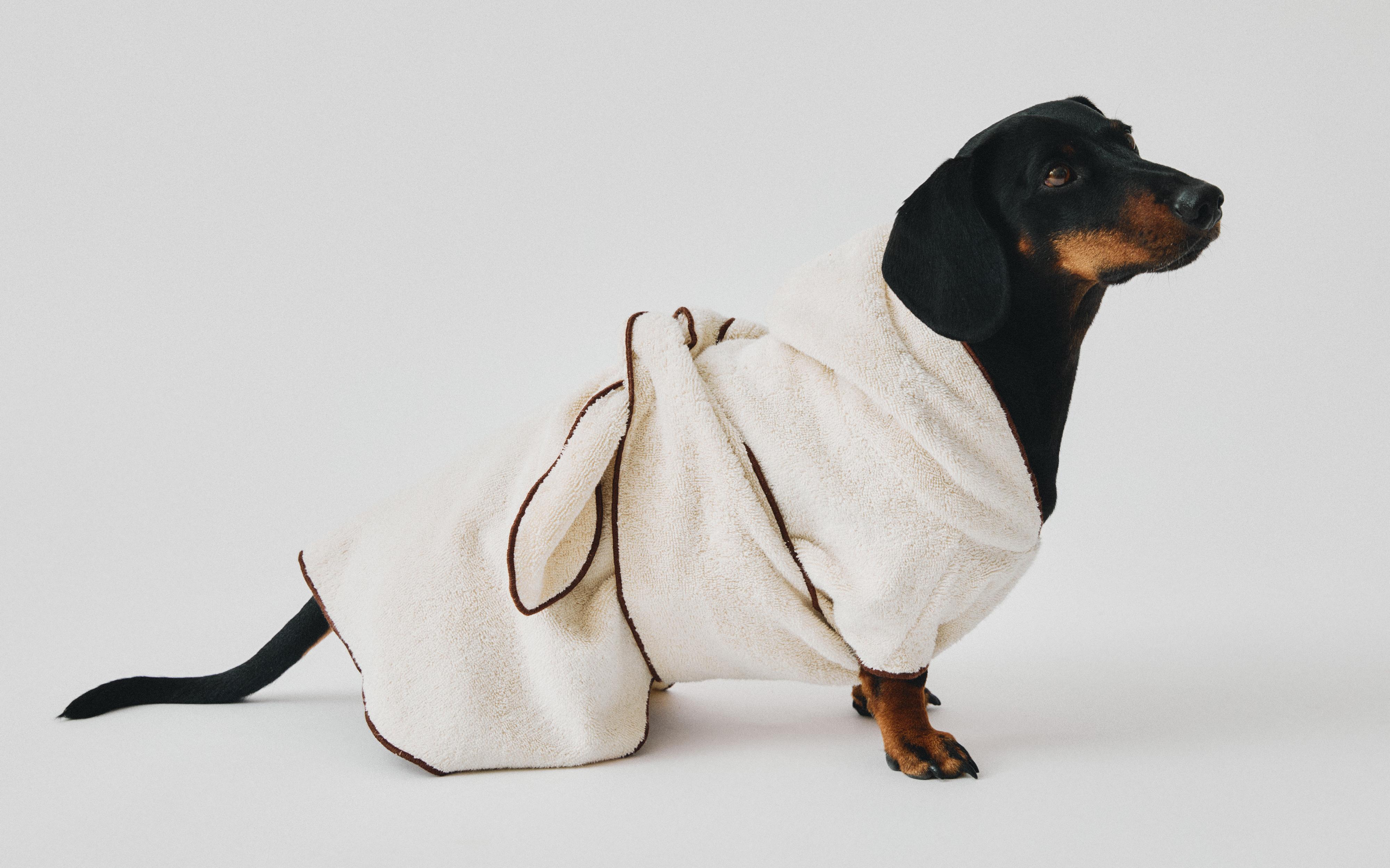 COTTON DRESSING GOWN WITH PETS product thumbnail 10