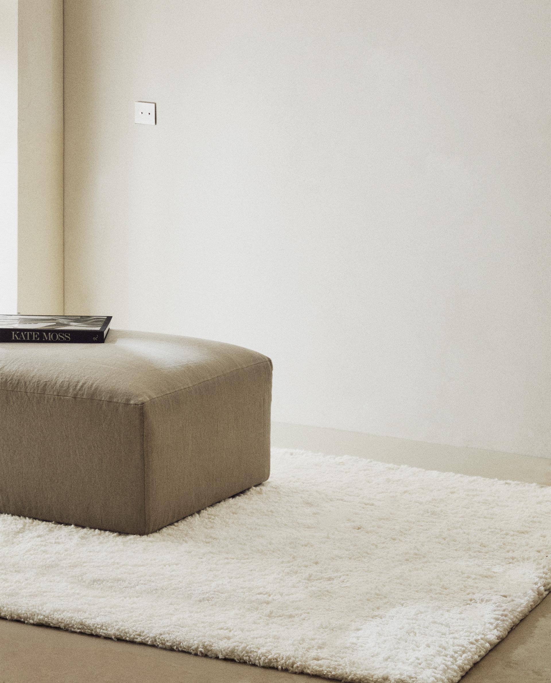 カール ラグ | Zara Home 日本/Japan