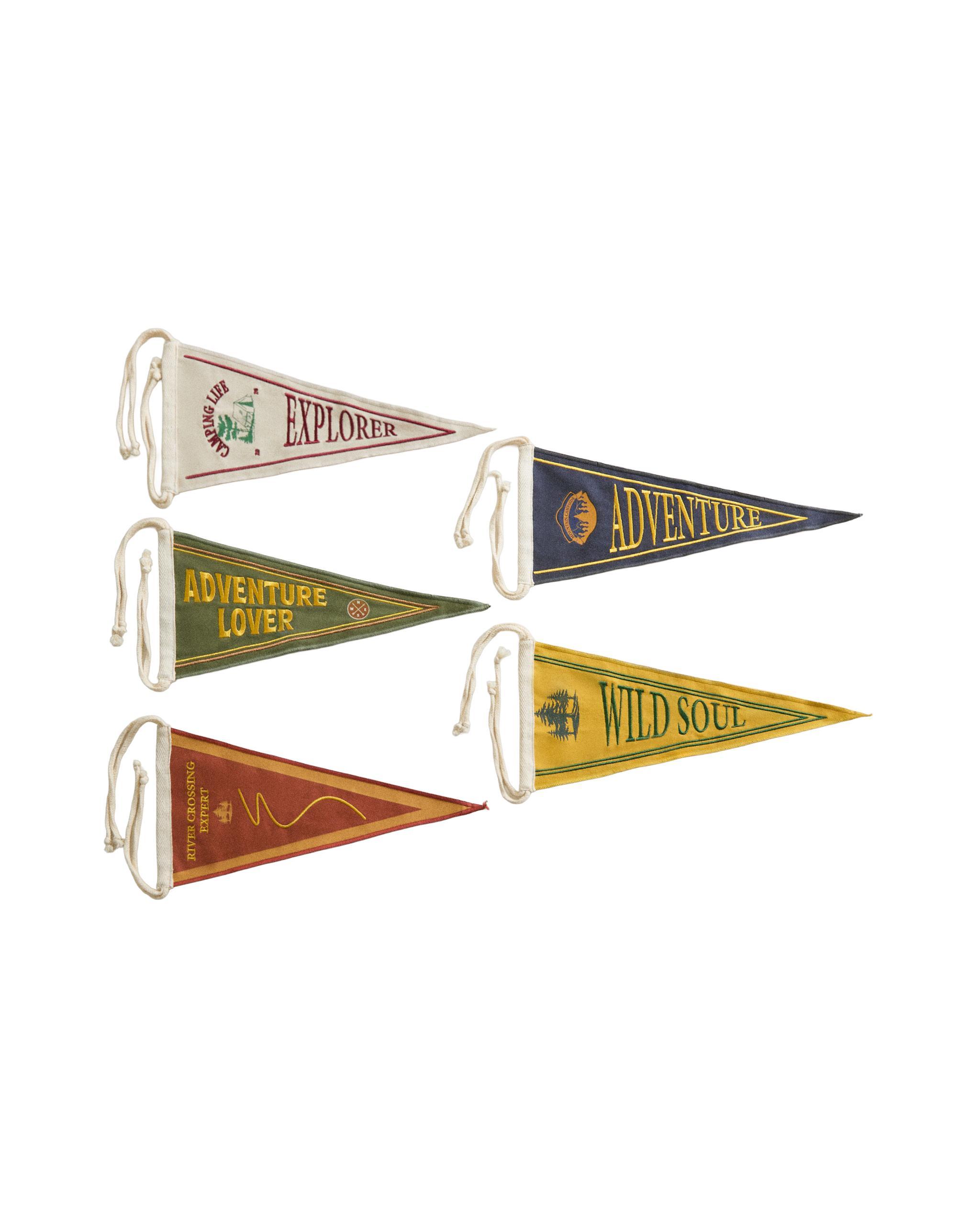 BACKPACK, STAINLESS STEEL MUG AND BUNTING product thumbnail 20