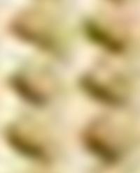 TEXTURED WAFFLE-KNIT BATH TOWEL product thumbnail 7