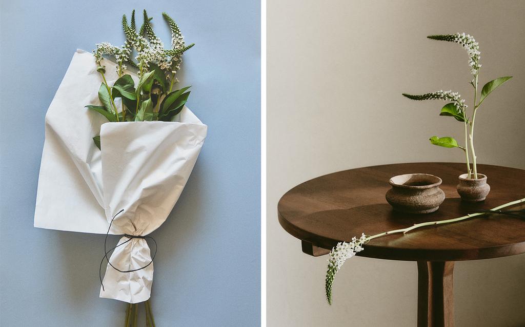 VASE TERRE CUITE VASE TERRE CUITE