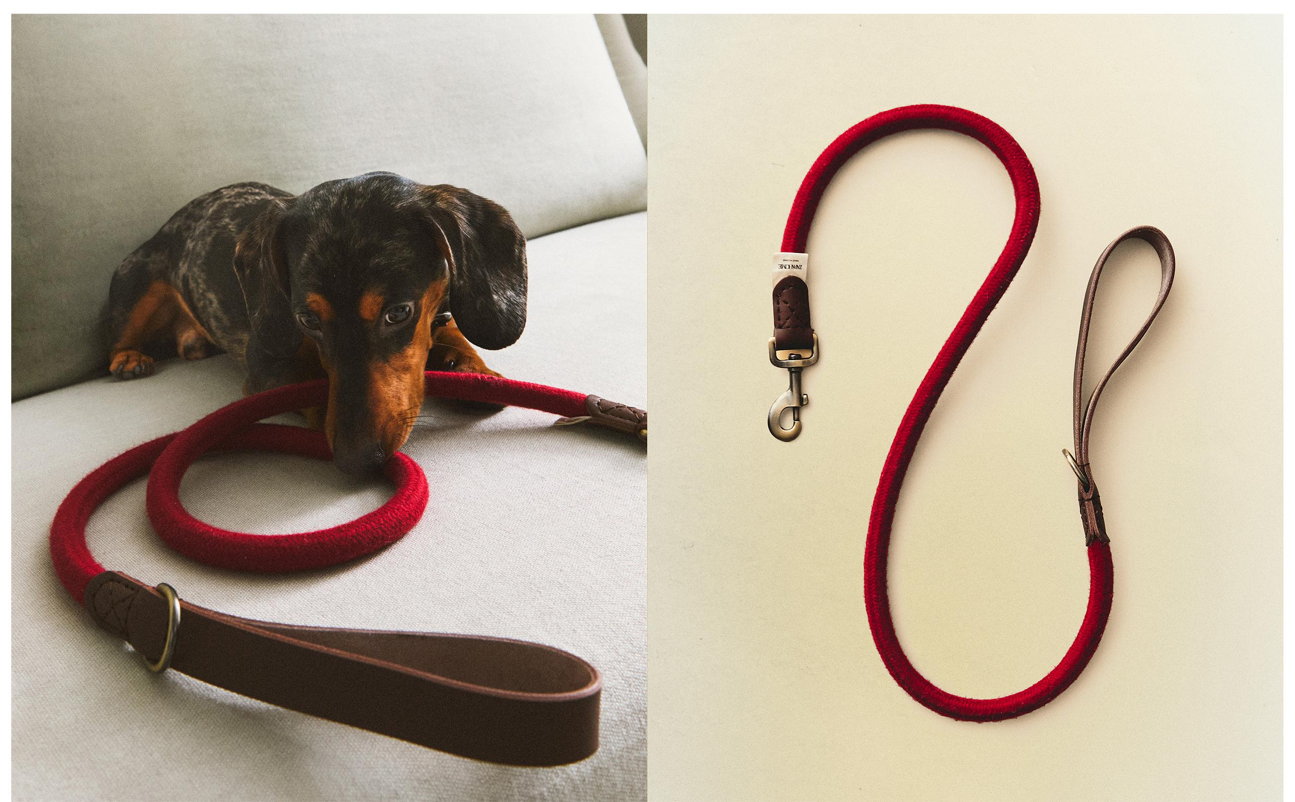 LEATHER AND ROPE DOG LEAD