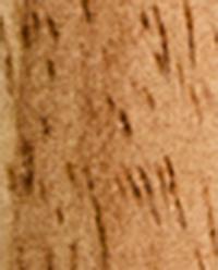 OAK LINT ROLLER product thumbnail 3