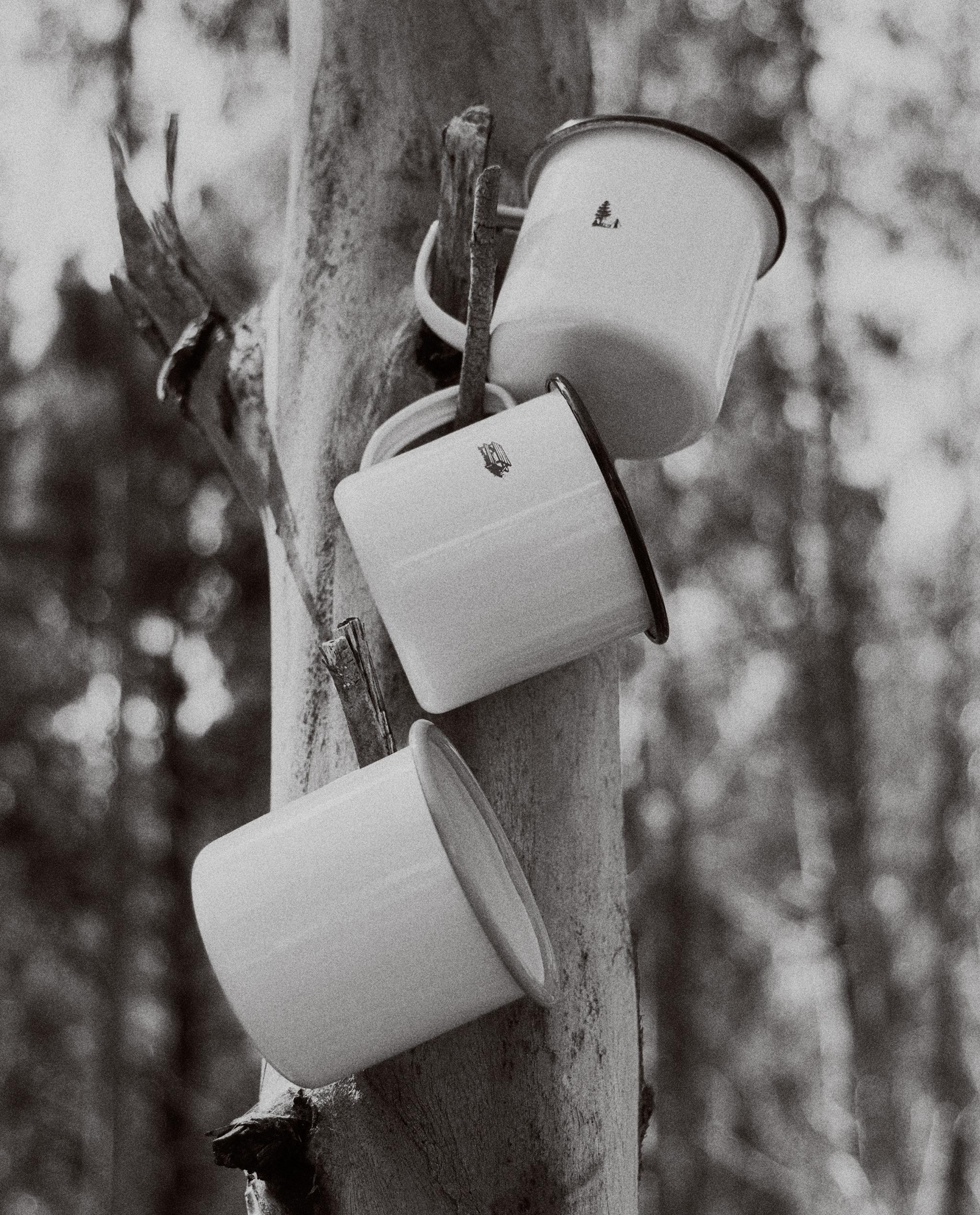 BACKPACK, STAINLESS STEEL MUG AND BUNTING product thumbnail 13