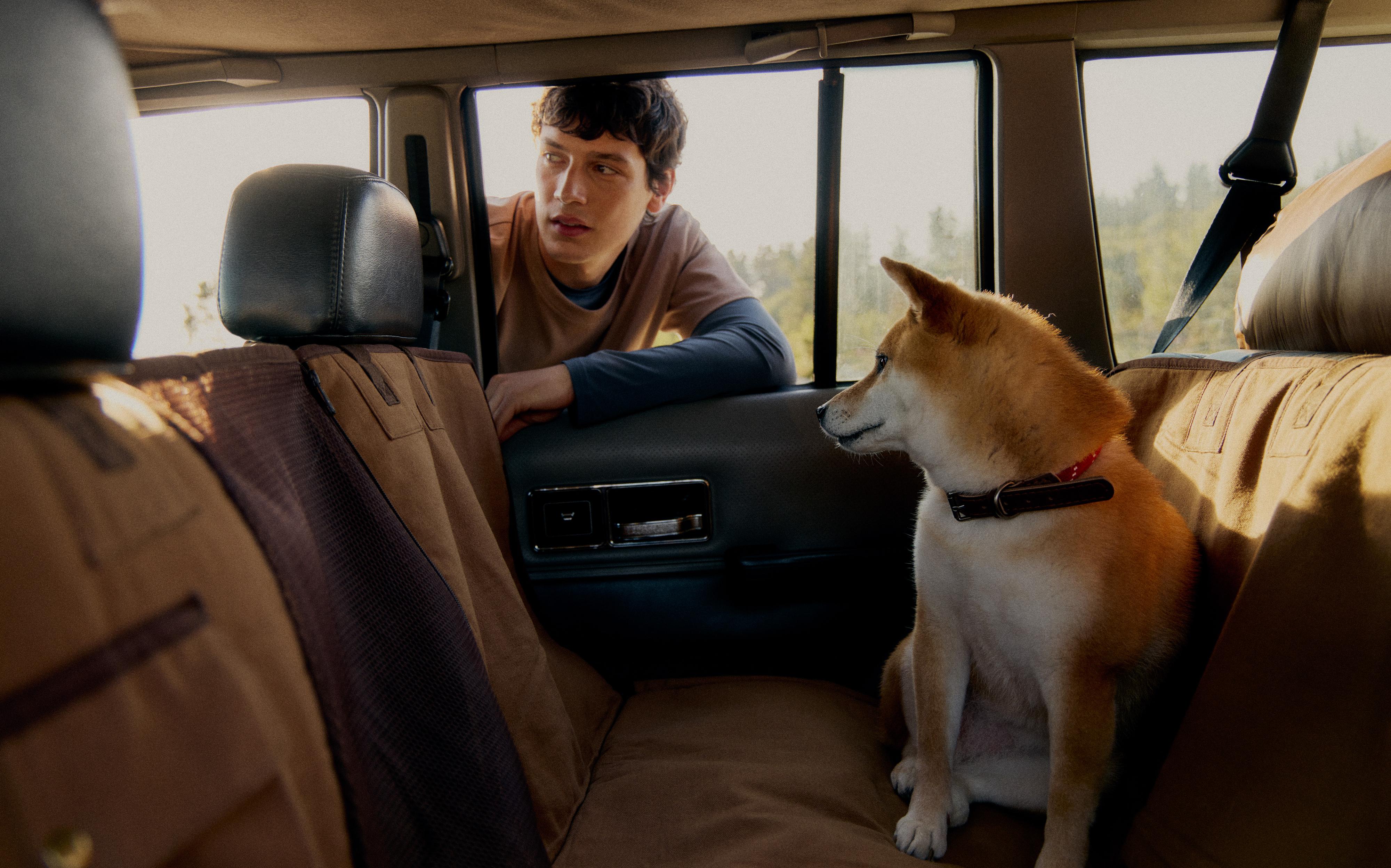 PET CAR THROW product thumbnail 14
