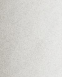 ADHESIVE LINT ROLLER REFILL (PACK OF 2) product thumbnail 3