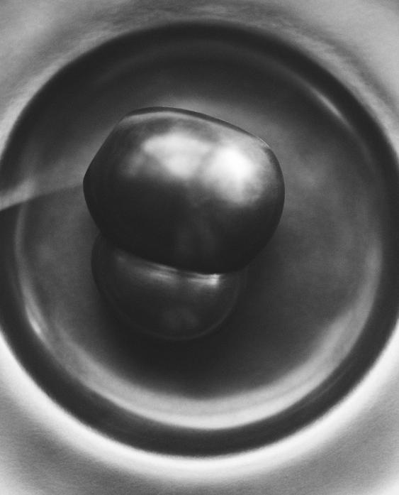 PETIT BRASS OBJECT I COLIN KING