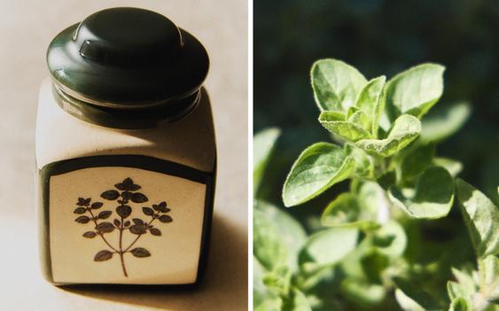 (320 G) OREGANO SCENTED CANDLE