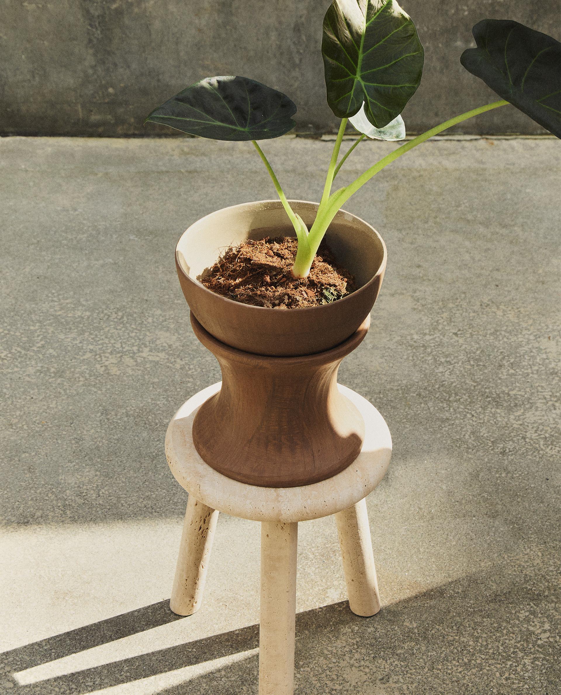 Raised Terracotta Flowerpot