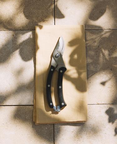 GARDEN SCISSORS GARDEN SCISSORS