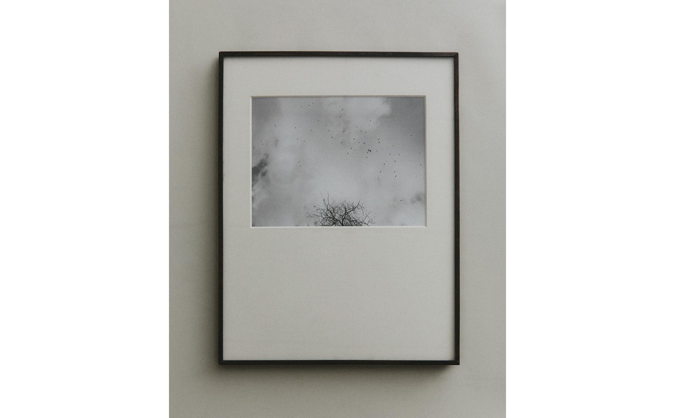 44317045800-f.jpg?ts=1768478395608