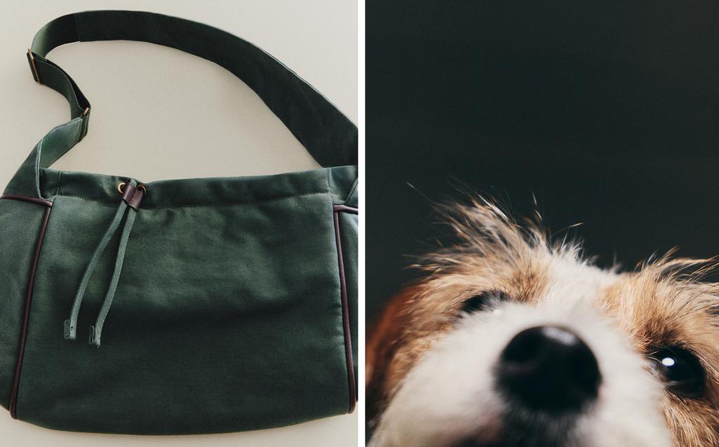 HUNDETRAGETASCHE AUS BAUMWOLLE