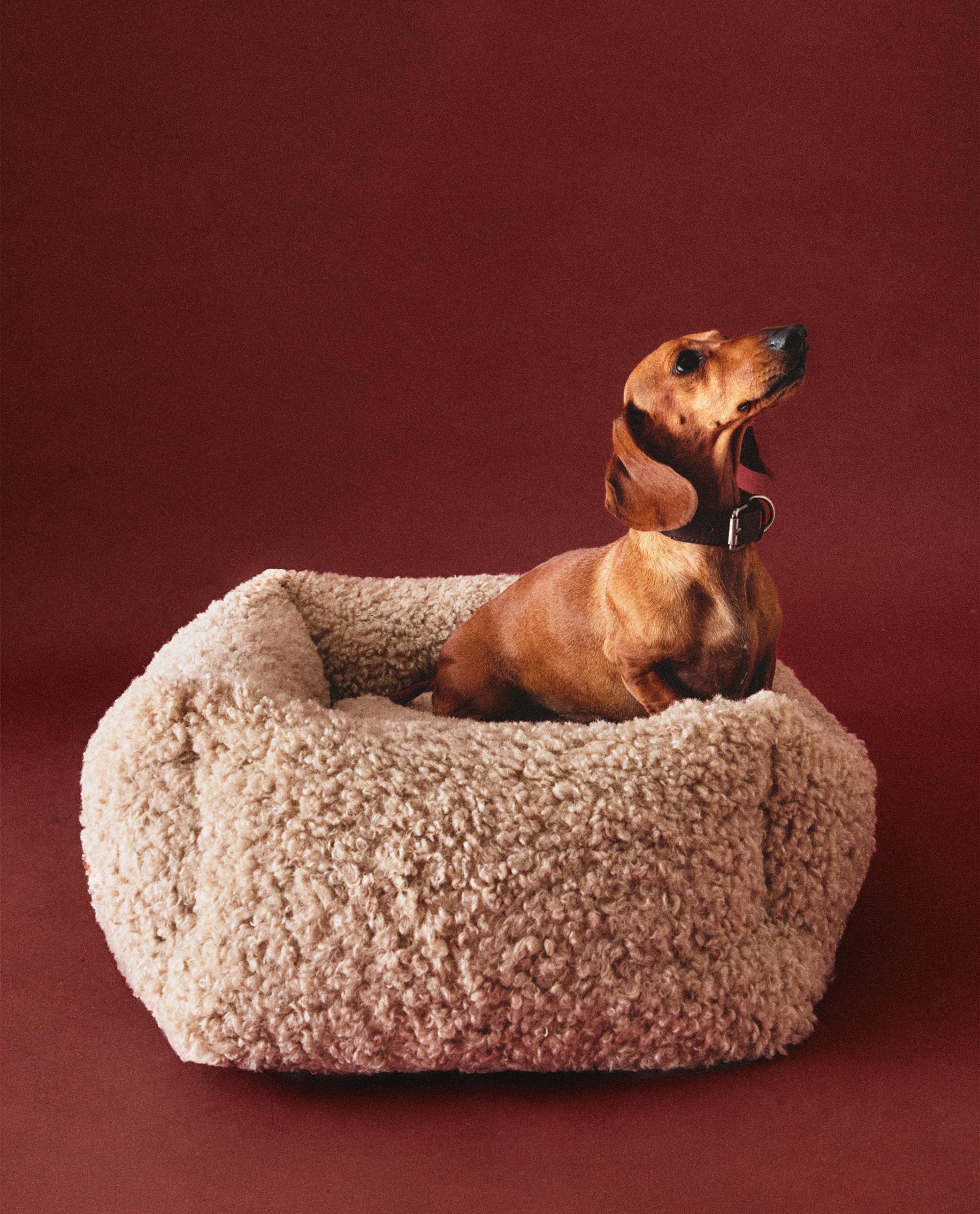 ZARA 天然素材 ペットベッド FAUX SHEARLING PET BED | Zara Home United States of America