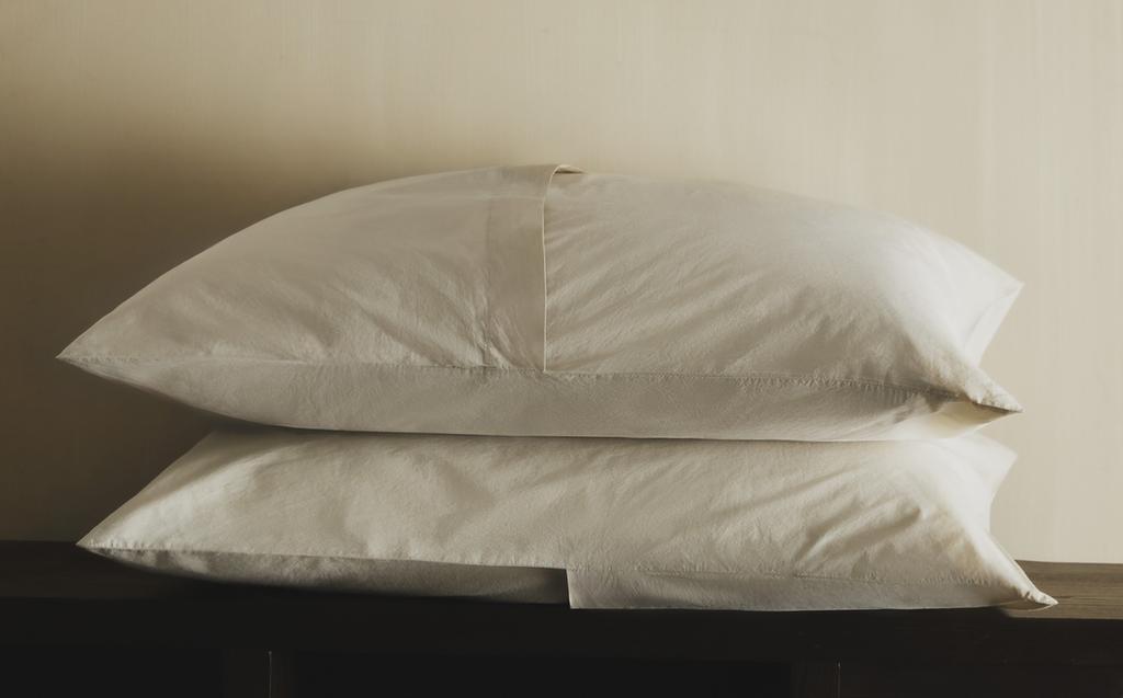 غلاف مخدة من قطن بركال المغسول من X SOCIETY LIMONTA غلاف مخدة من قطن بركال المغسول من X SOCIETY LIMONTA