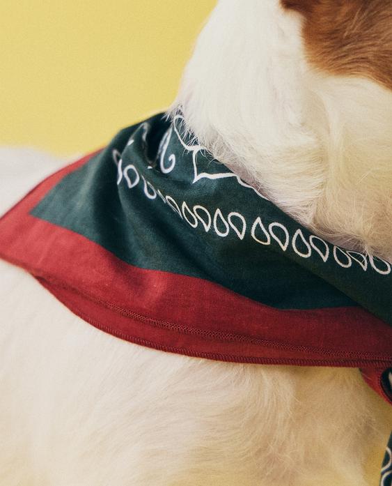 BANDANA ALGODÓN PAISLEY MASCOTAS