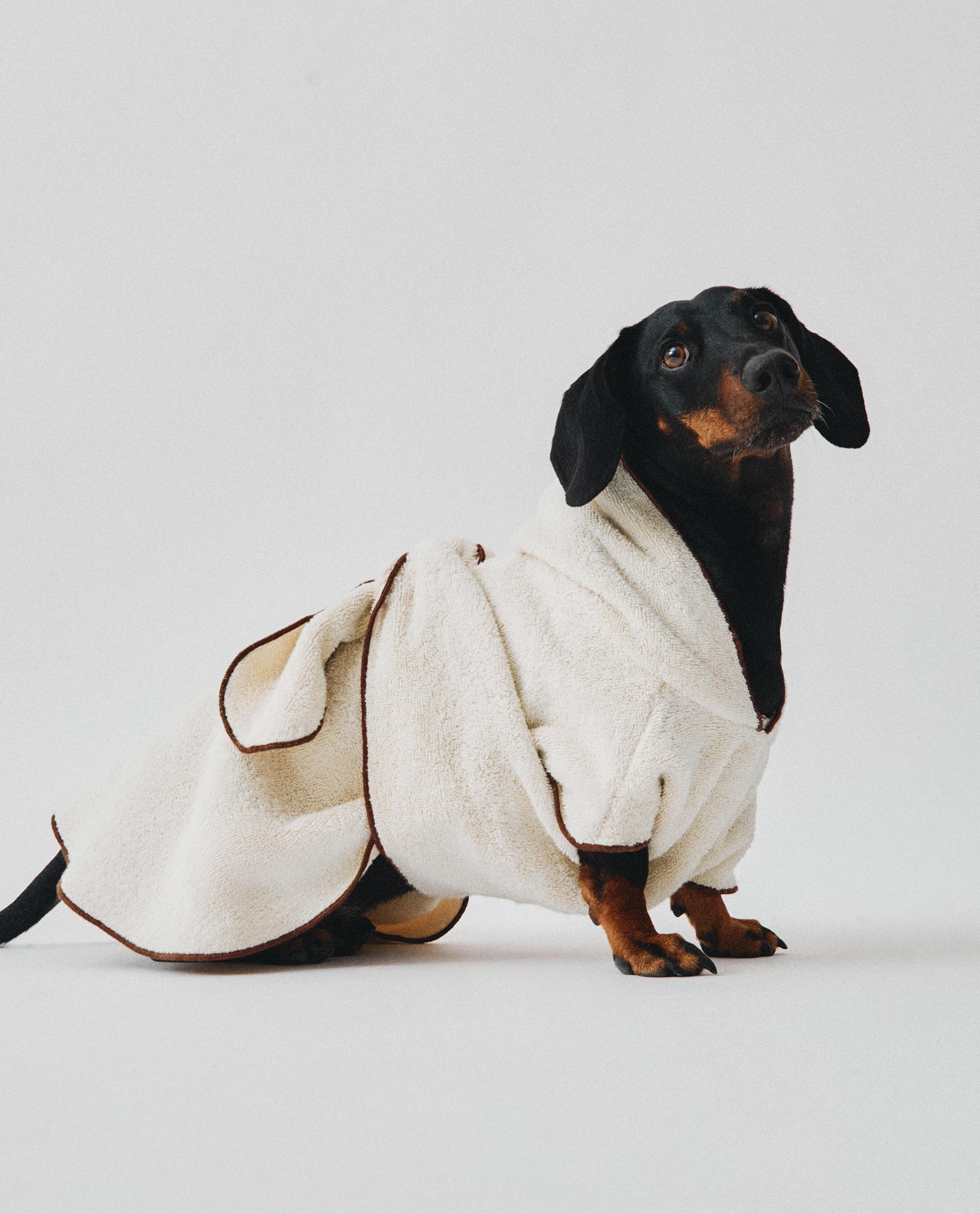 COTTON DRESSING GOWN WITH PETS product thumbnail 9