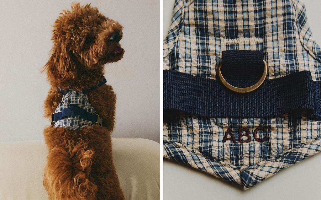 PASOVI ZA HIŠNE LJUBLJENČKE S KAKARASTIM POTISKOM