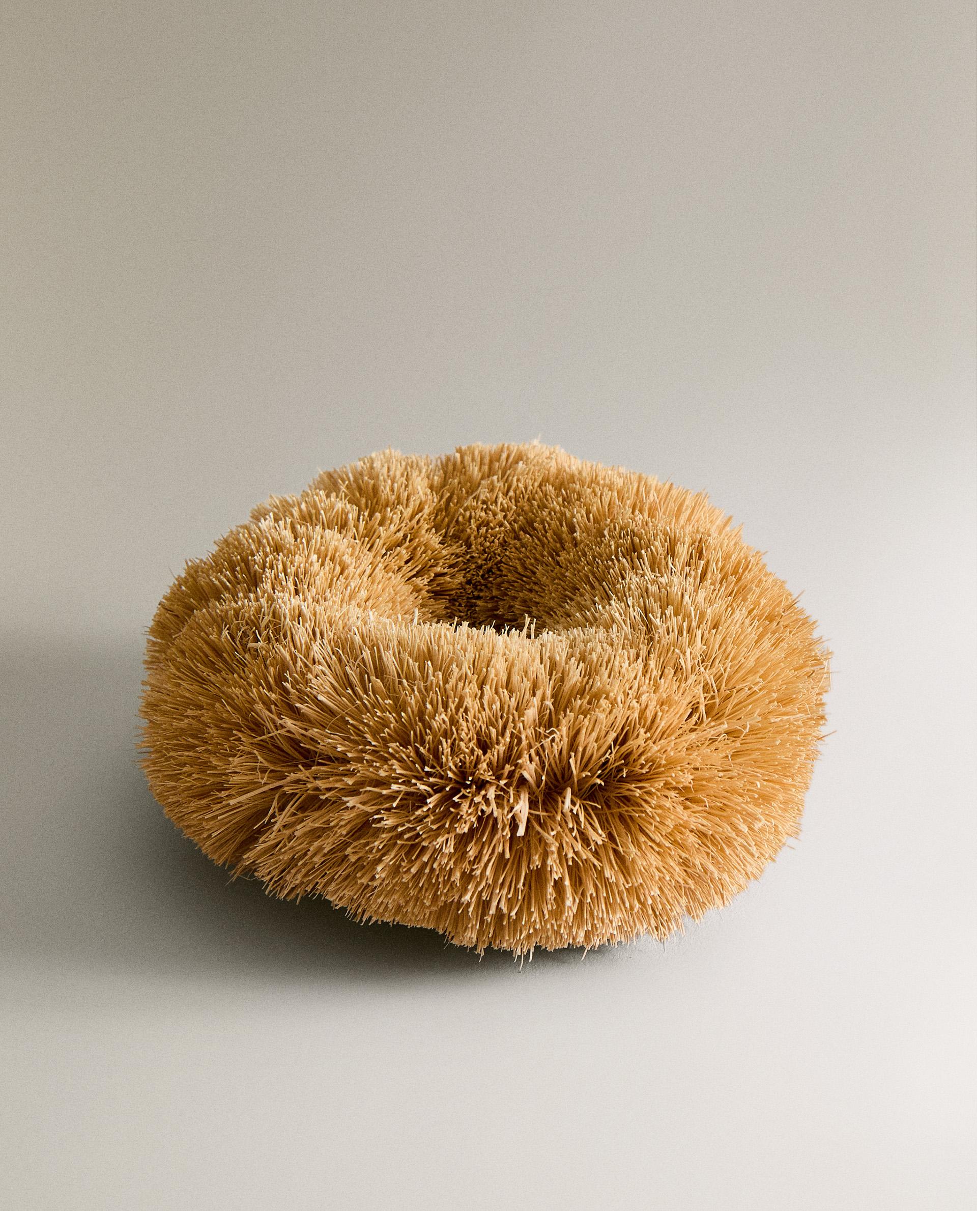 SISAL SCOURER