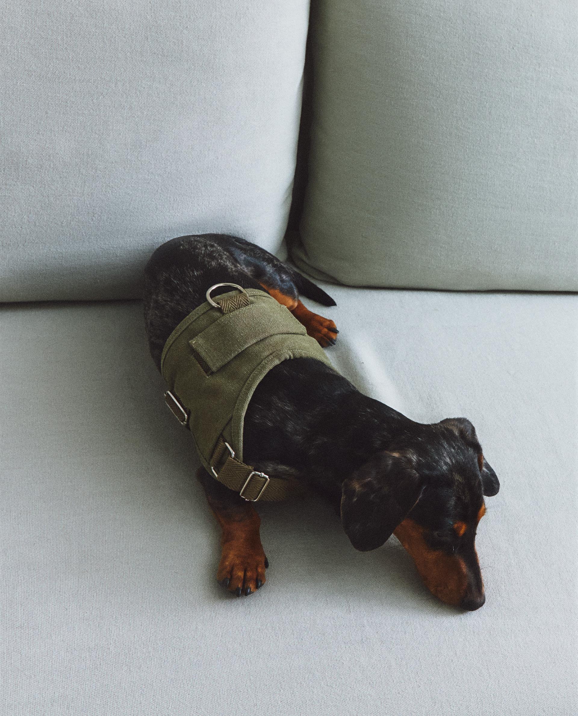 Zara Home Camas Para Mascotas El Corte Ingles Sillones Y Butacas