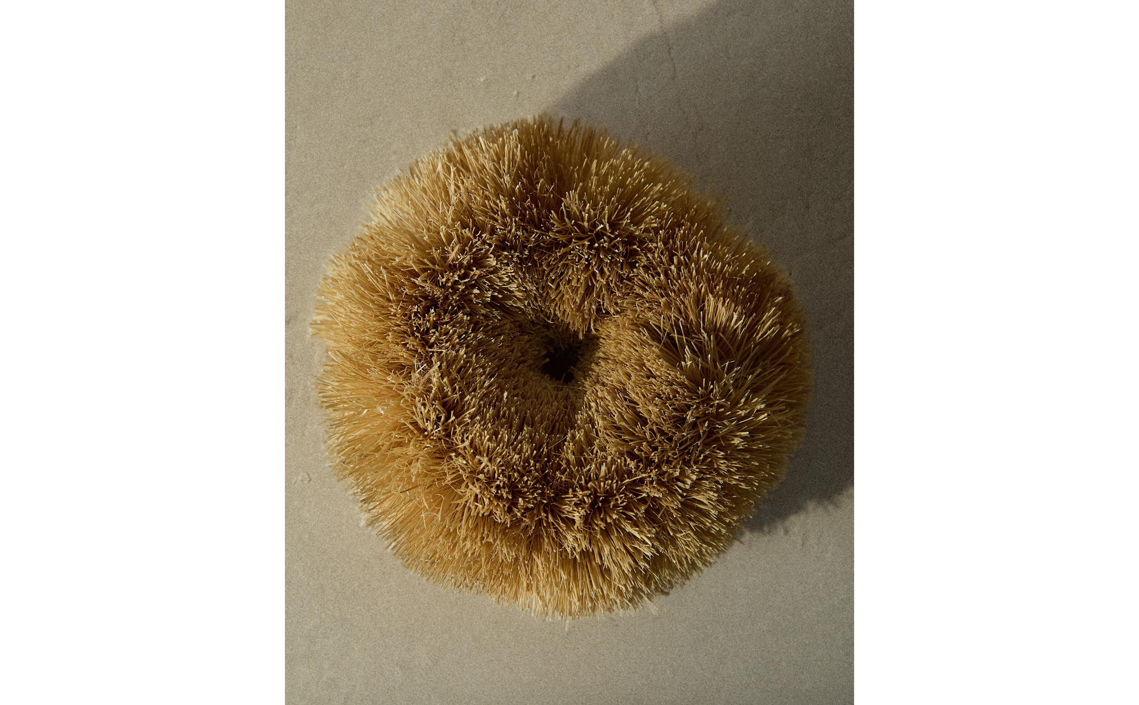 SISAL SCOURER