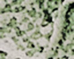 CLOVER GLASS DESSERT PLATE product thumbnail 3
