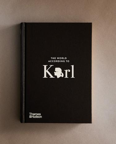 THE WORLD ACCORDING TO KARL BOOK