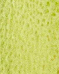 BERGAMOT & SANDALWOOD REED DIFFUSERS