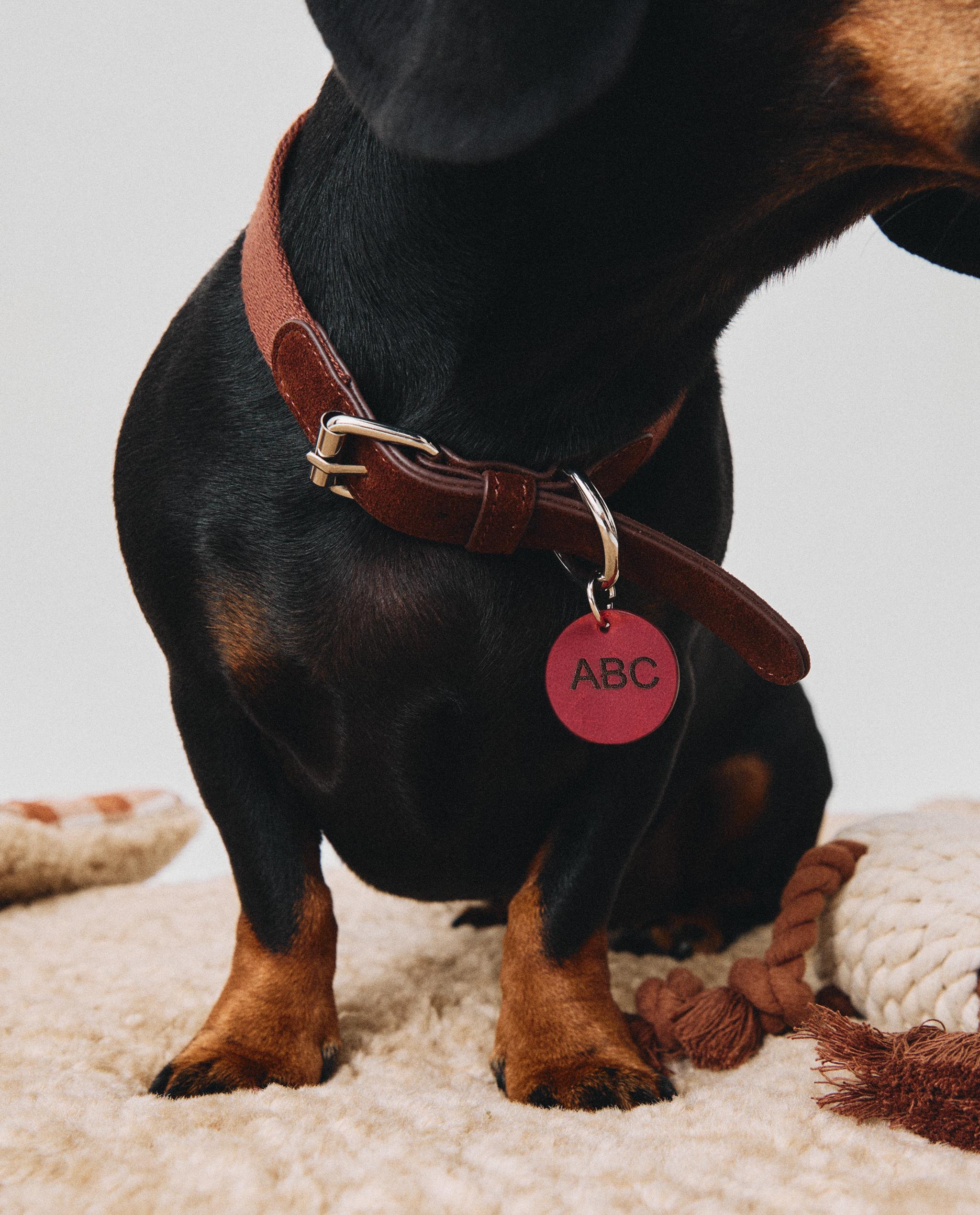LEATHER PET COLLAR product thumbnail 13